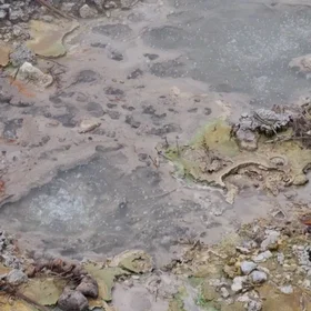 Bubbling Cauldrons: volcanic fumaroles in the Azores