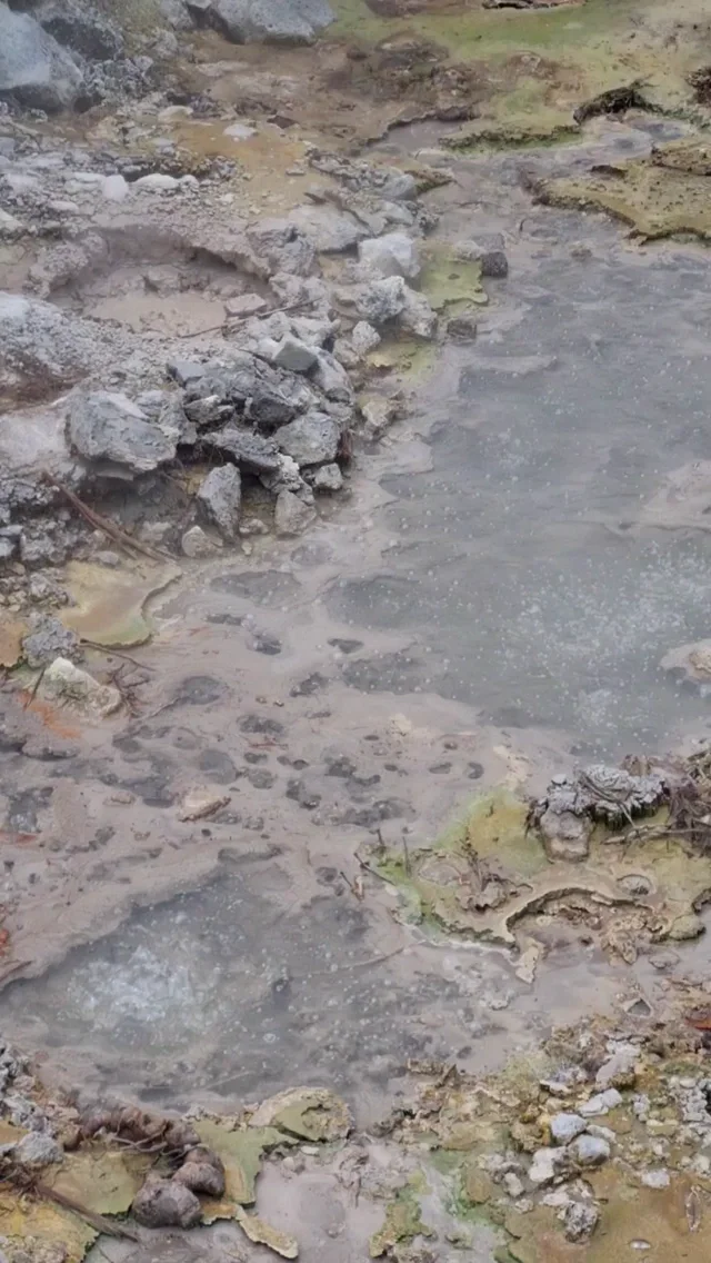 Bubbling Cauldrons: volcanic fumaroles in the Azores