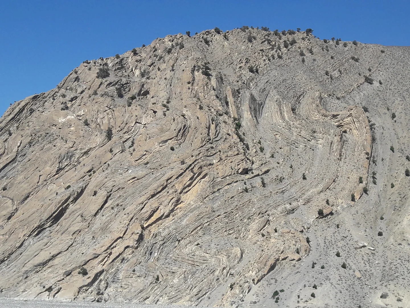 Structure in Tethys Sediment