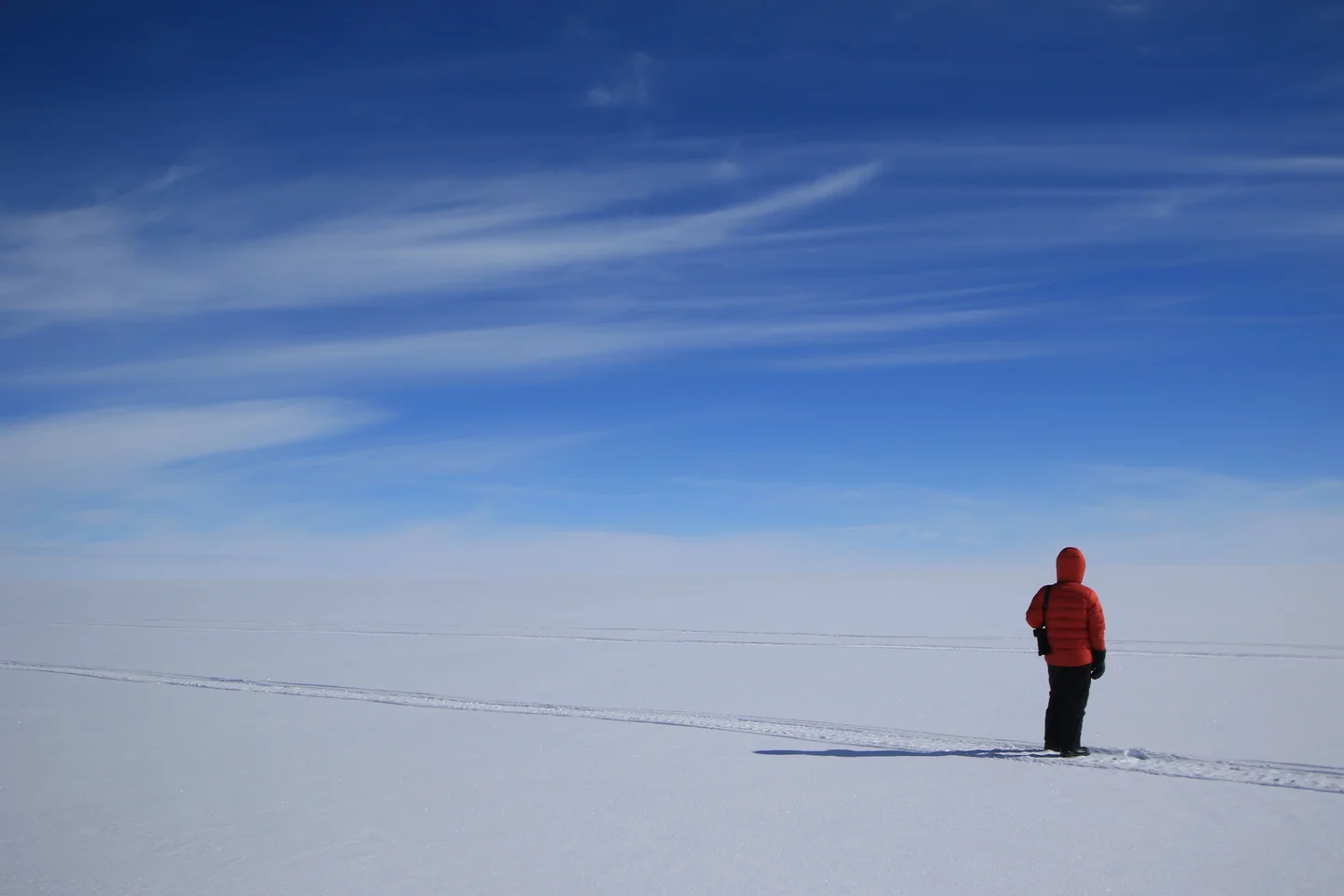 Looking Into the White and blue