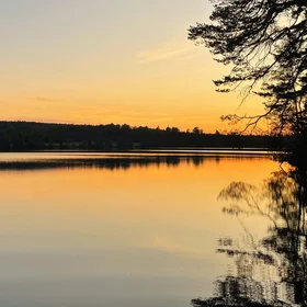 Adopt the peace of nature