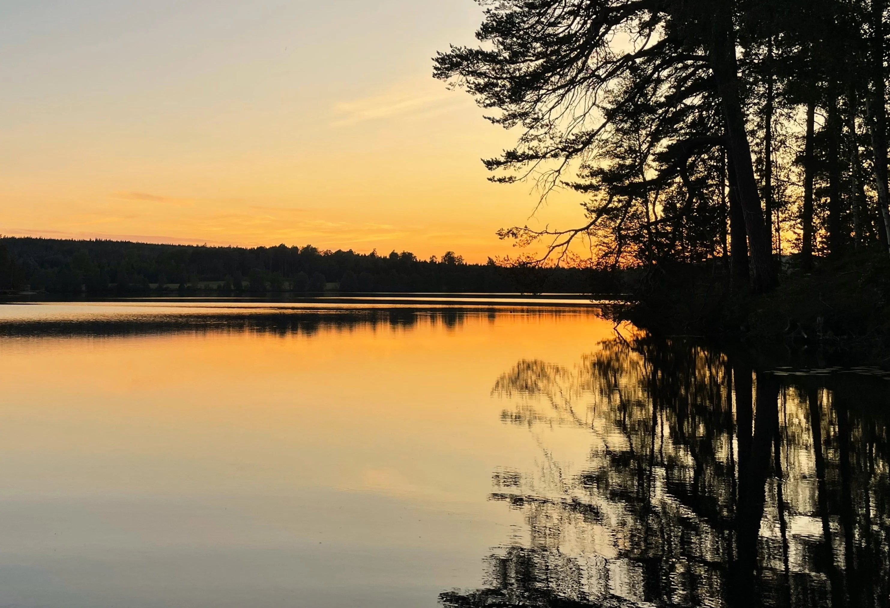 Adopt the peace of nature