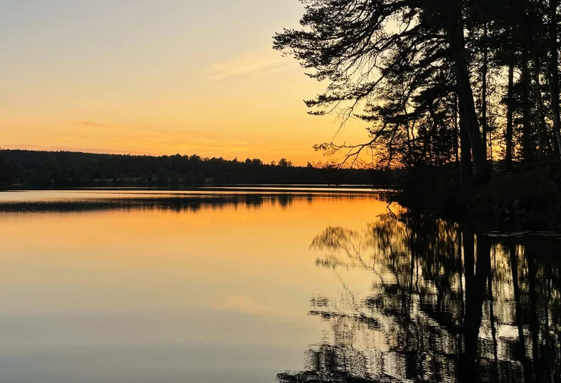 Adopt the peace of nature