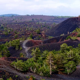 Sartorius Craters - Etna Volcano