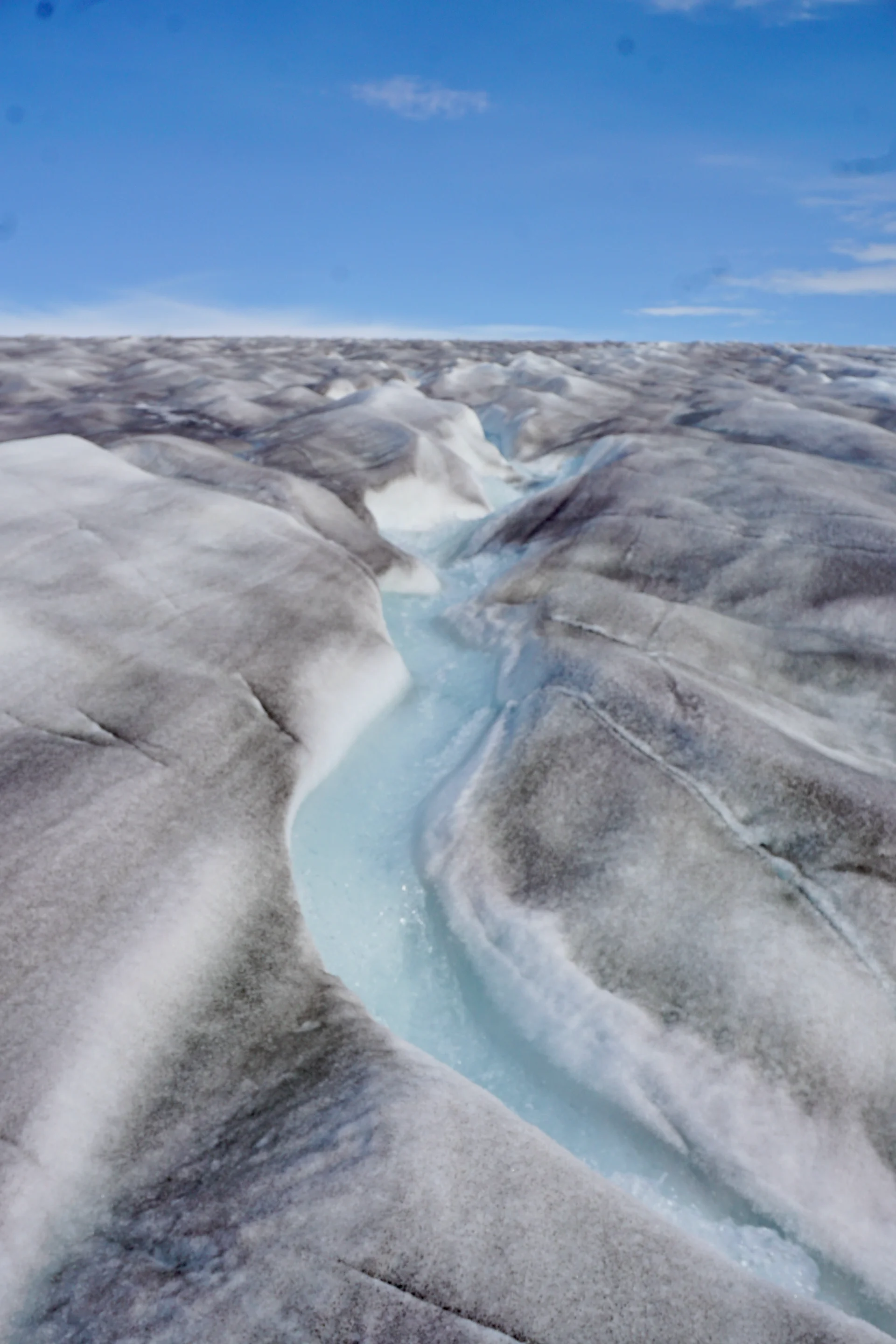 Biological darkening of the glacier surface by purple ice algae