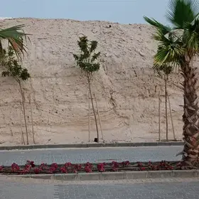 A Sedimentary Outcrop: graben lead to normal fold