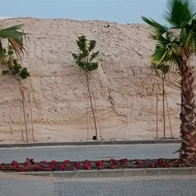 A Sedimentary Outcrop: graben lead to normal fold