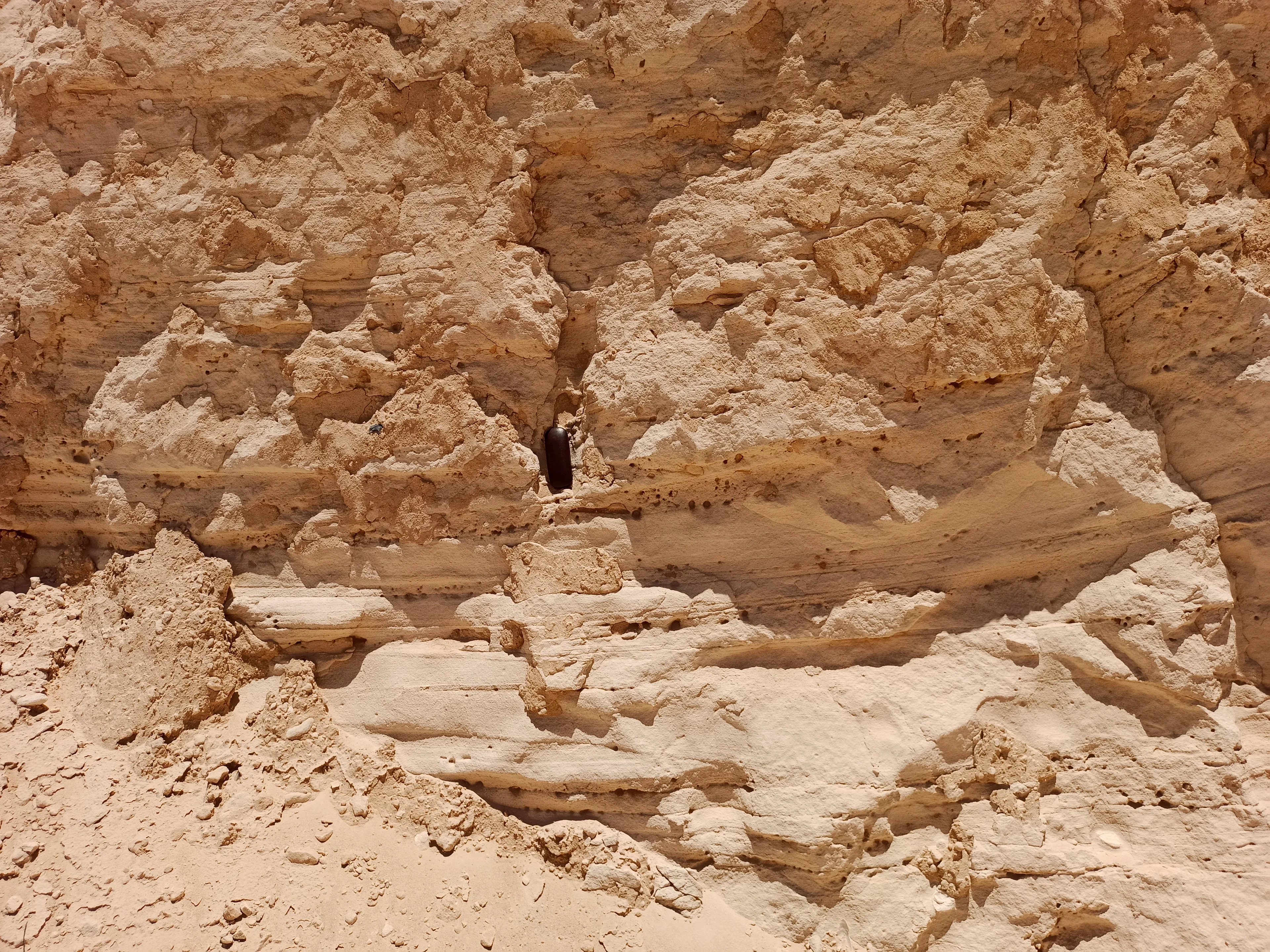 An Original Outcrop of Sedimentary Bedding with Weathering Gaps and Holes