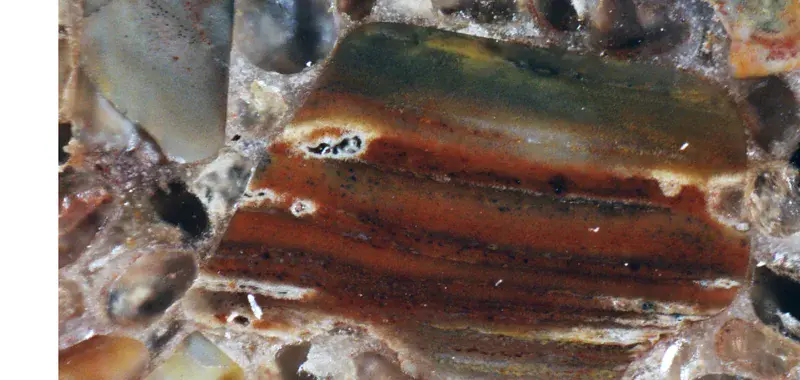 Iron-rich shelly phosphorite, Estonia