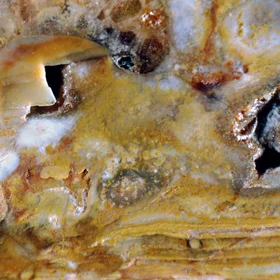 Iron-rich shelly phosphorite, Estonia