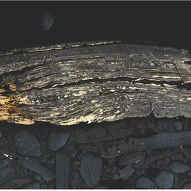 Pyritised brachiopod shell from Aseri phosphorite deposit