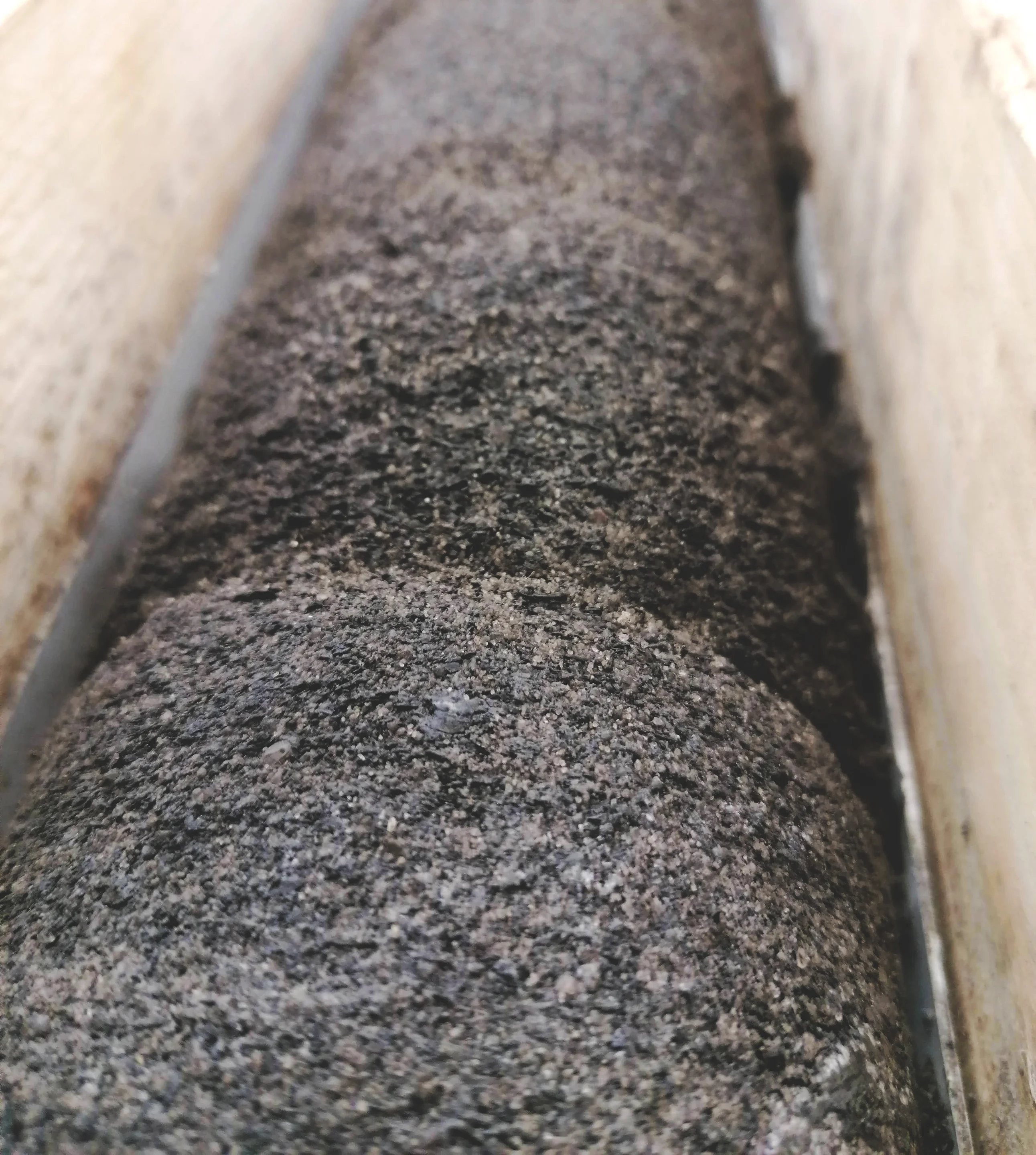 Shelly phosphorite drill core