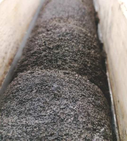 Shelly phosphorite drill core
