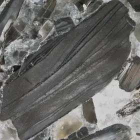 Shelly phosphorite from the Aseri deposit, Estonia.
