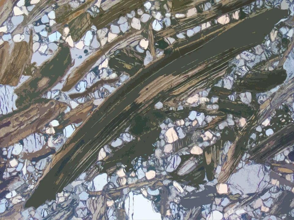 Thin section in PPL of shelly phosphorite from the Ülgase deposit, Estonia.