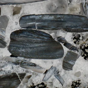 Shelly phosphorites from the Aseri deposit.