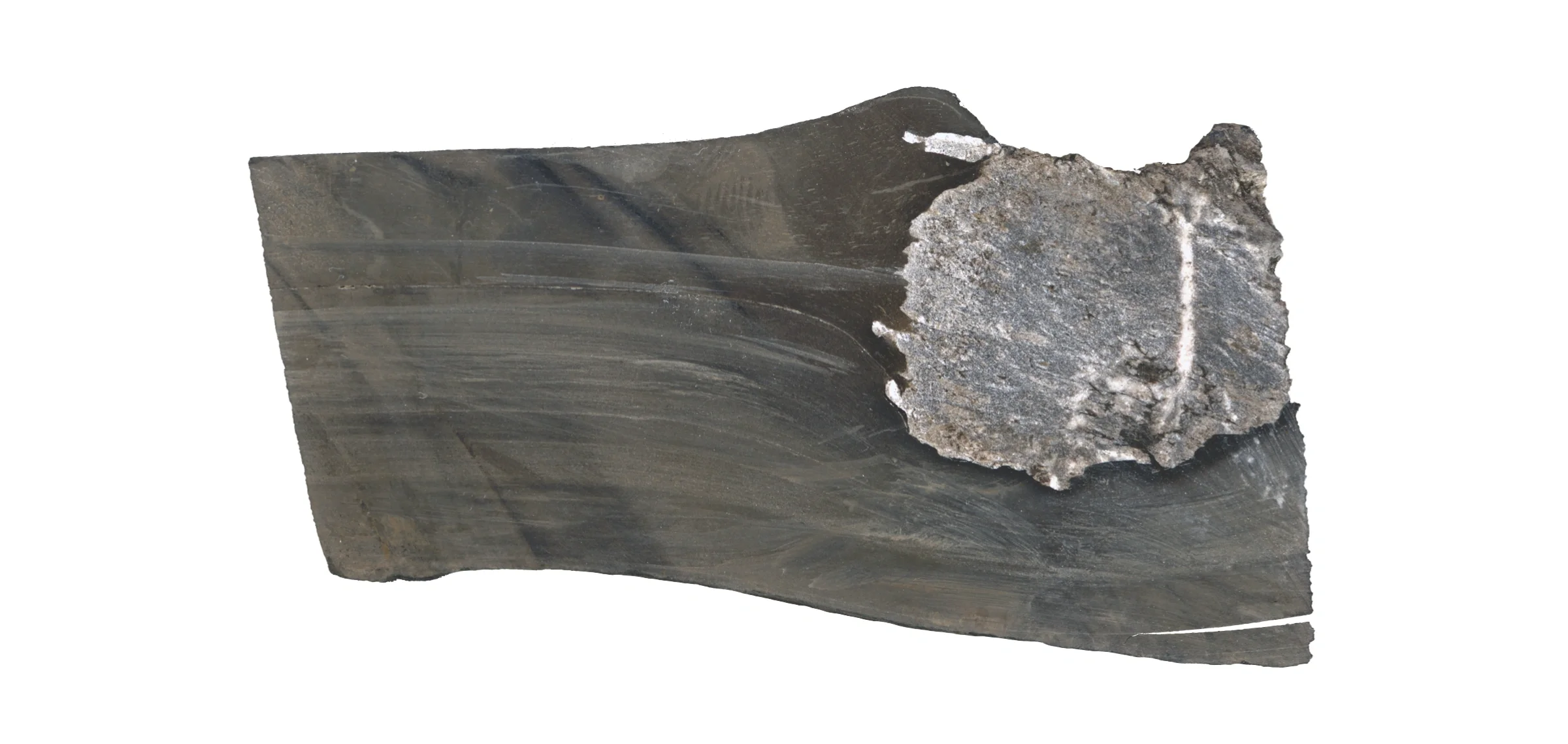 Section of a drillcore containing Tremadocian black-shale