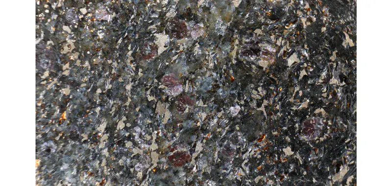 Sulphide-bearing gneiss and quartzite from the Estonian Precambrian basement, Alutaguse zone.