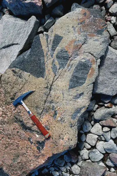 Example of meta-gabbro/amphibolite enclaves in a granite vein (possible pegmatite texture).