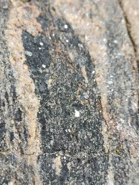 Close-up of hornblendes crystals in stretched amphibolite enclave