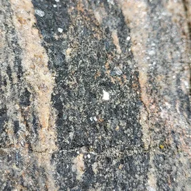 Close-up of hornblendes crystals in stretched amphibolite enclave