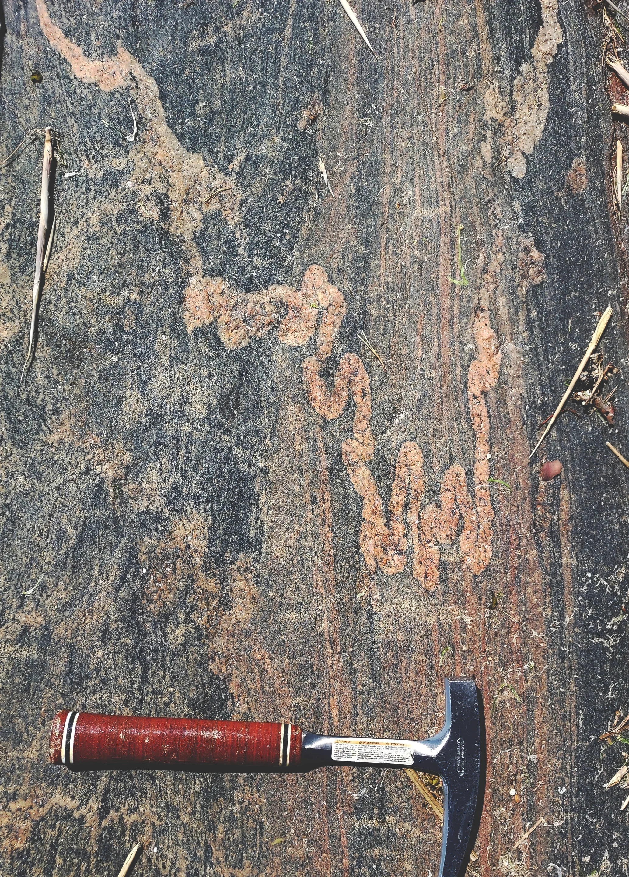 Ptygmatic fold crossing a mylonite, within a paragneiss.