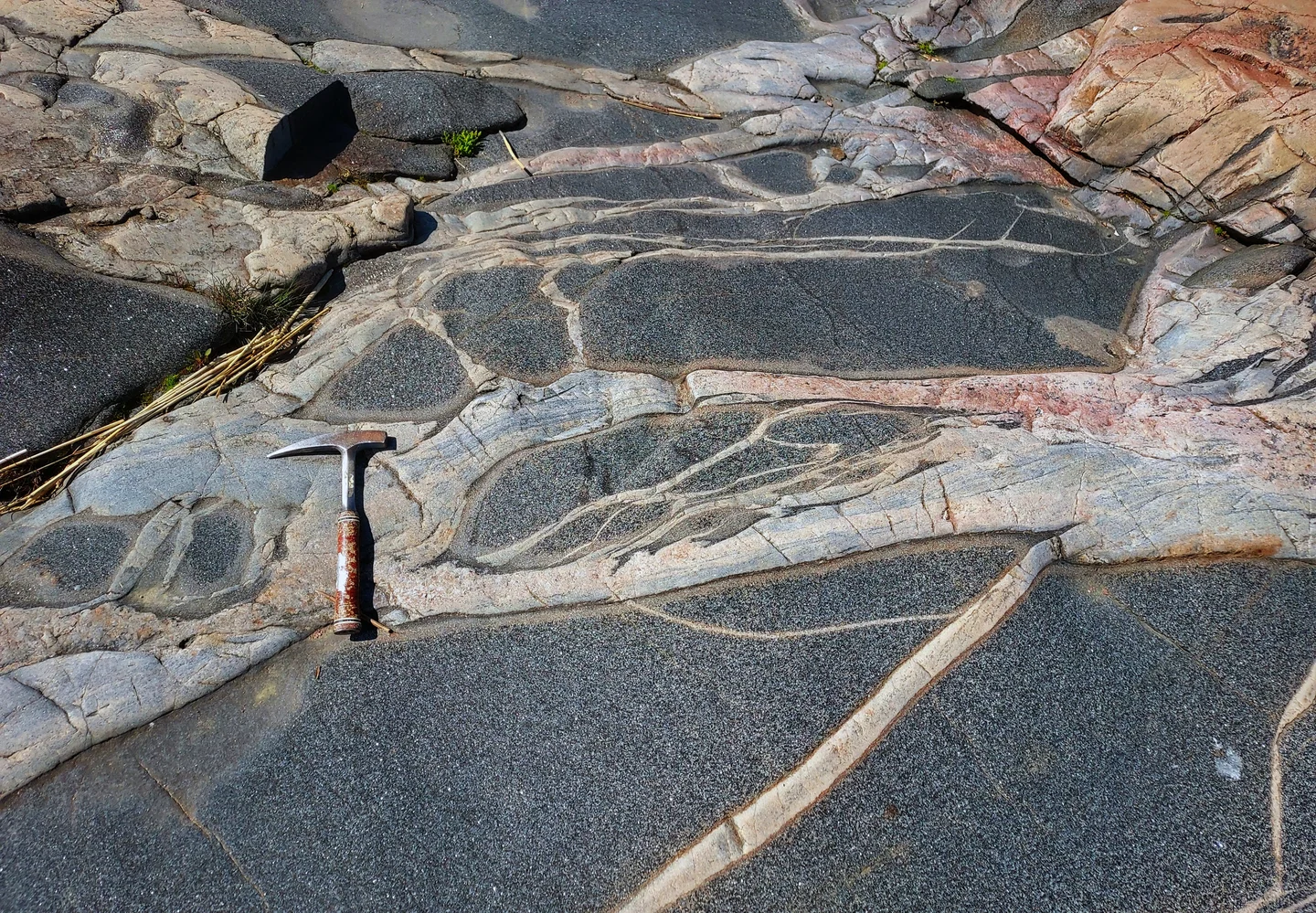 Metamorphic complex with amphibolite enclaves crossed by two generations of granitic veins