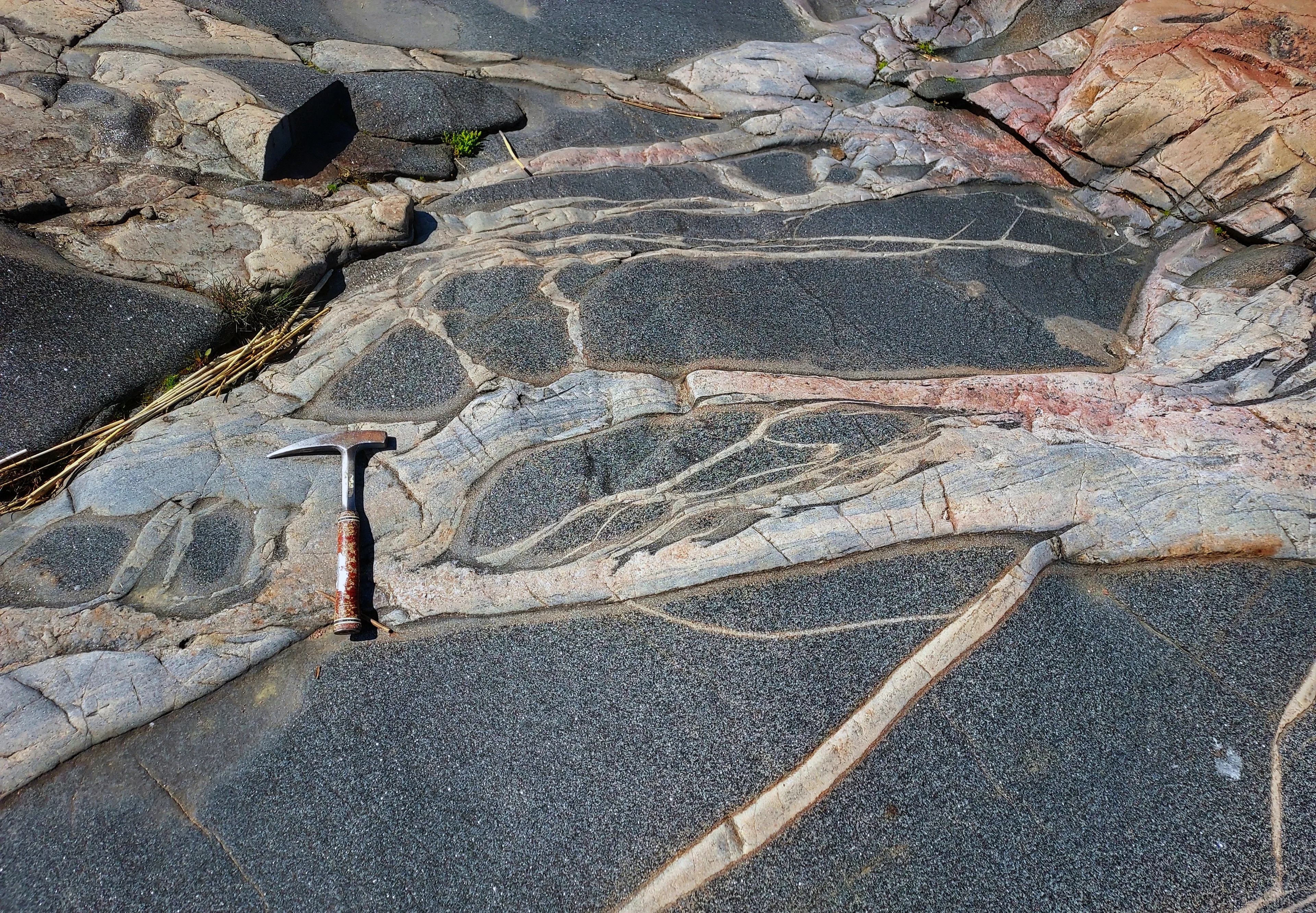 Metamorphic complex with amphibolite enclaves crossed by two generations of granitic veins