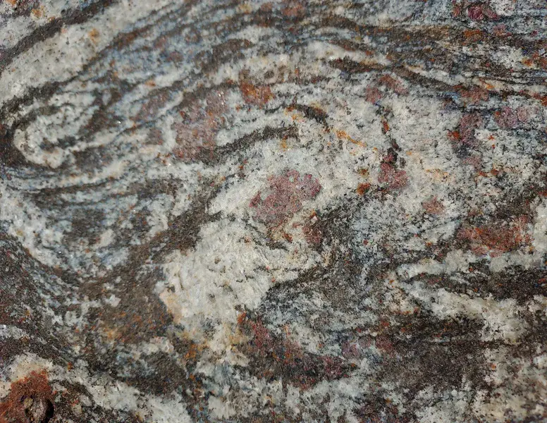 Migmatite 'sigmoid' in garnet-paragneiss