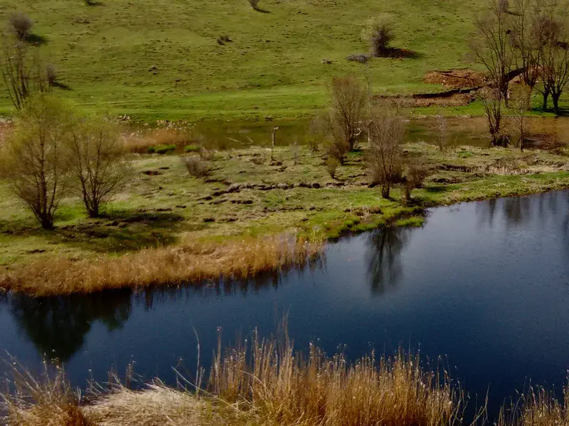 Turf sitting around lake and gravitational structures