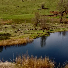 Turf sitting around lake and gravitational structures