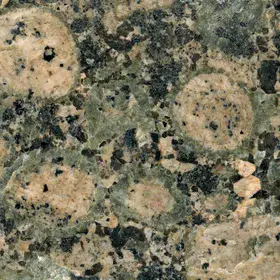 Rapakivi granite with typical round orthoclase crystals with oligoclase rims, Finland