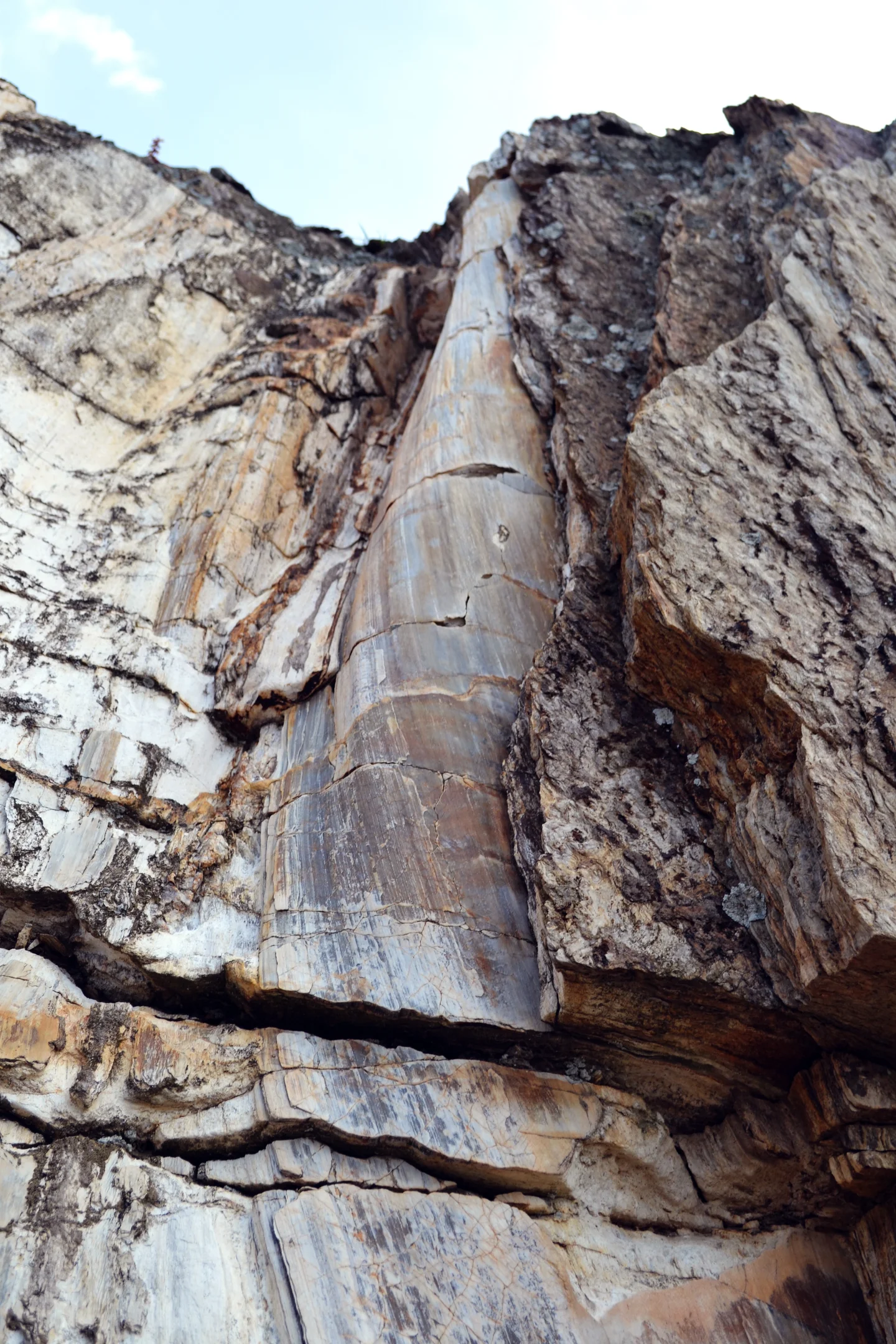 Example of a "twisted" fold from the Cap de Creus, Spain.