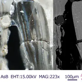 Micro textures of Estonian shelly phsophorites