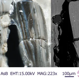 Micro textures of Estonian shelly phsophorites