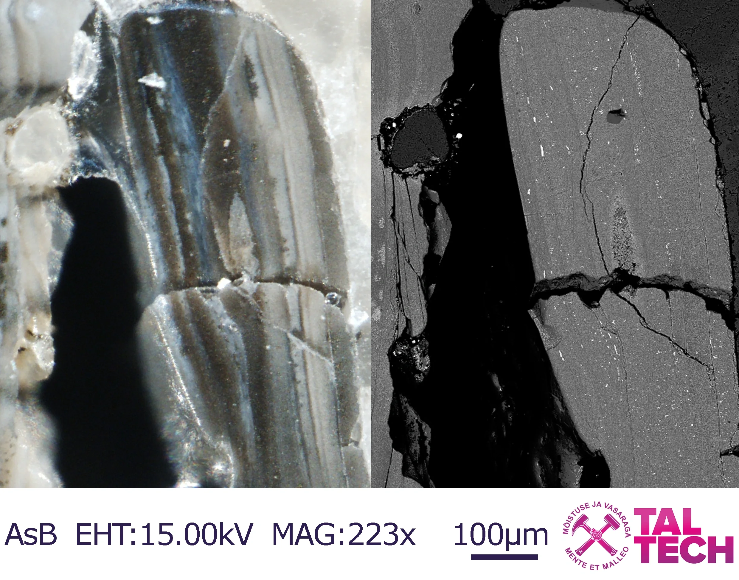 Micro textures of Estonian shelly phsophorites