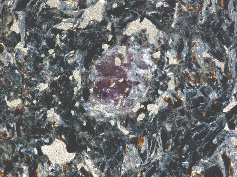 Garnet with sulphide inclusions in a Precambrian biotite gneiss from the Alutaguse zone, East Estonia.