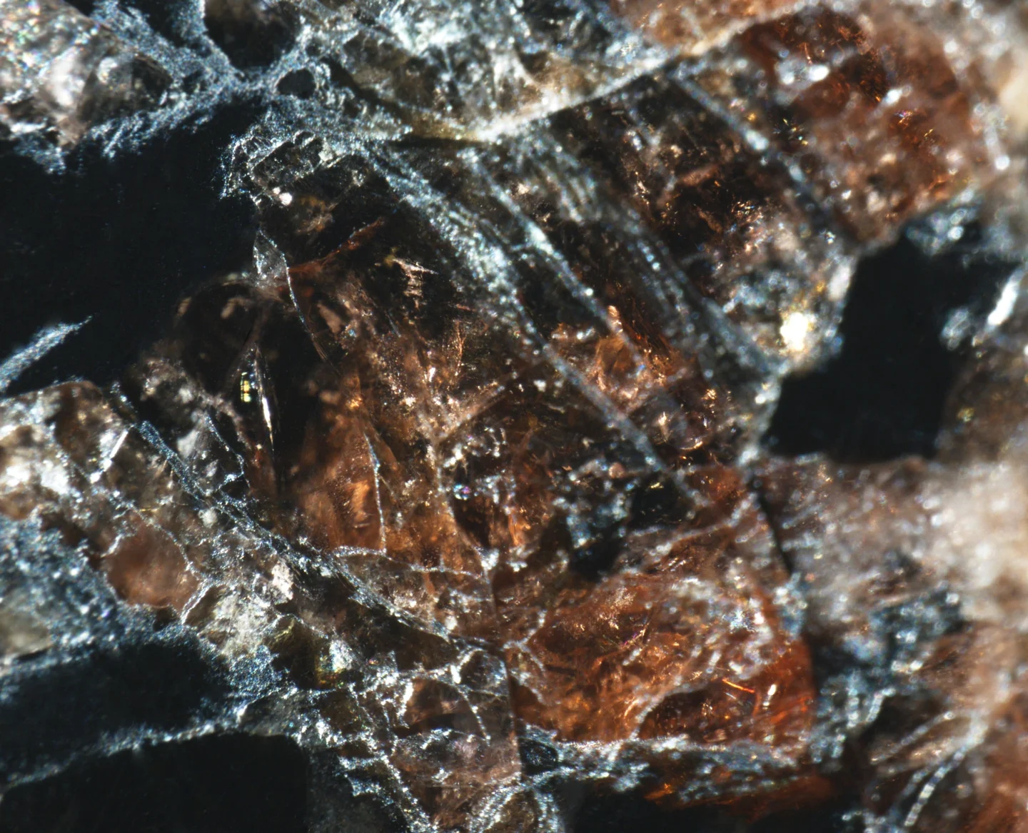 Precambrian garnet from Kopparnäs coastline, Finland.