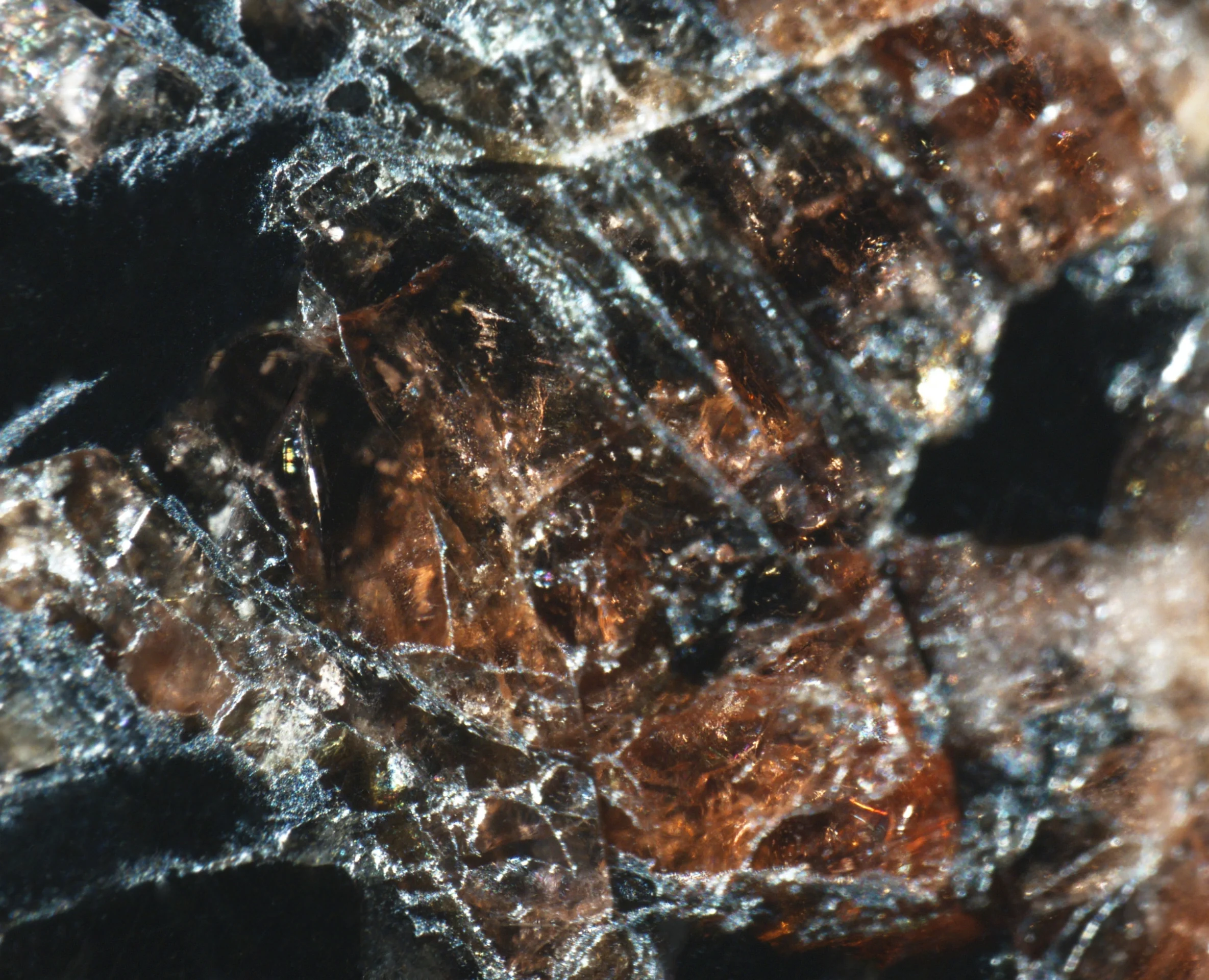 Precambrian garnet from Kopparnäs coastline, Finland.