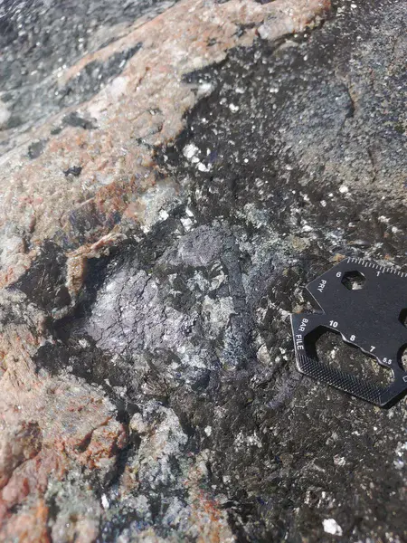 Graphite in a contact zone between a pegmatitic dyke and a amphibolite