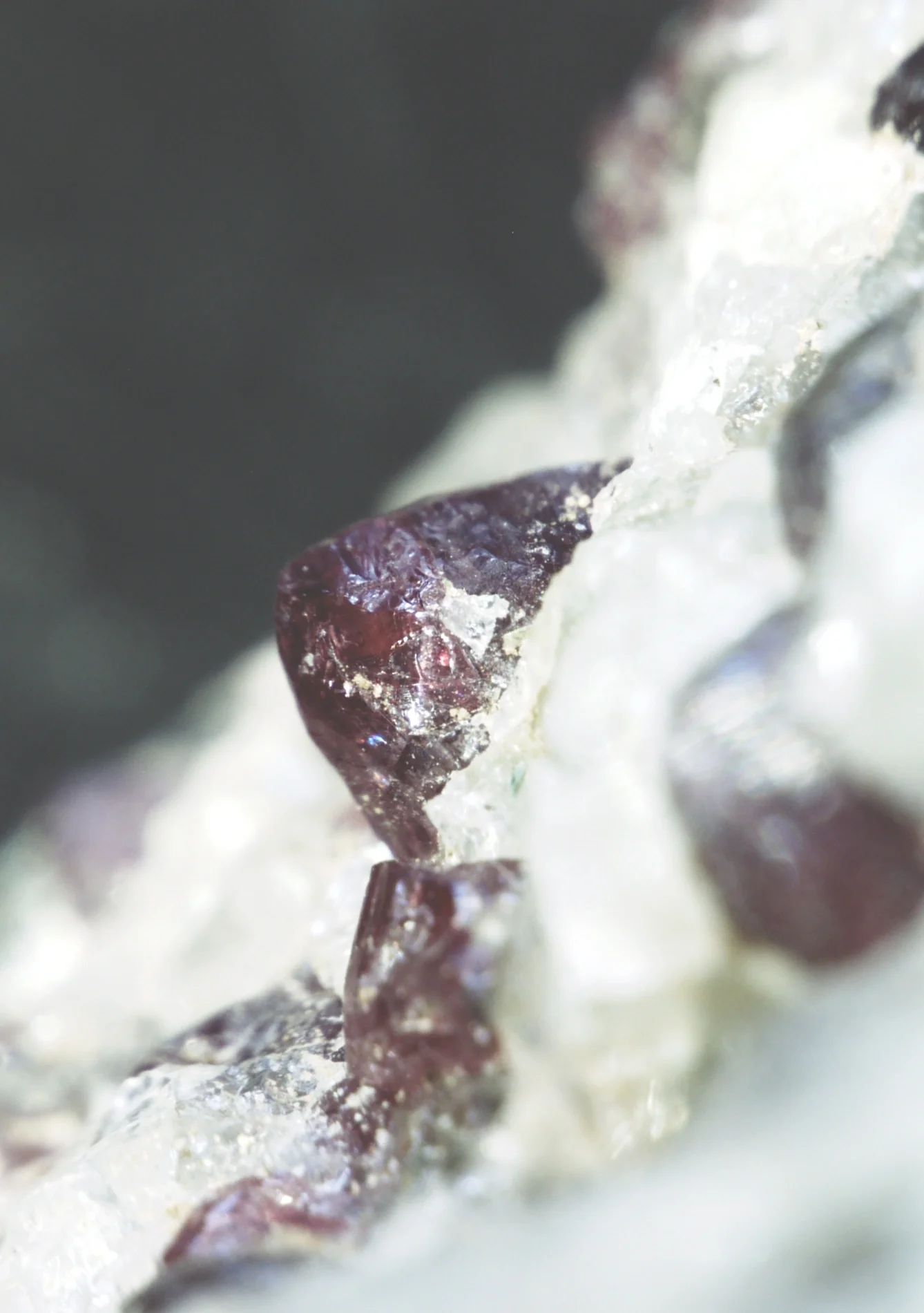Almandine in migmatite paragneiss