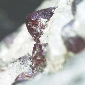 Almandine in migmatite paragneiss
