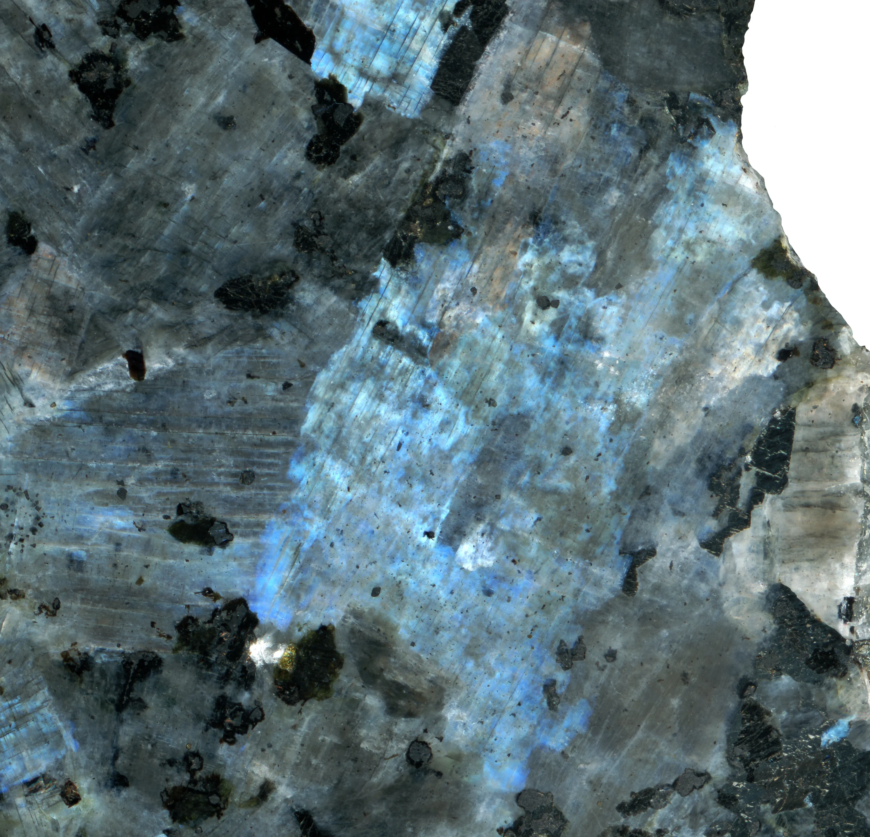 Feldspars in a larvikite
