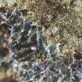 Details of blueschists