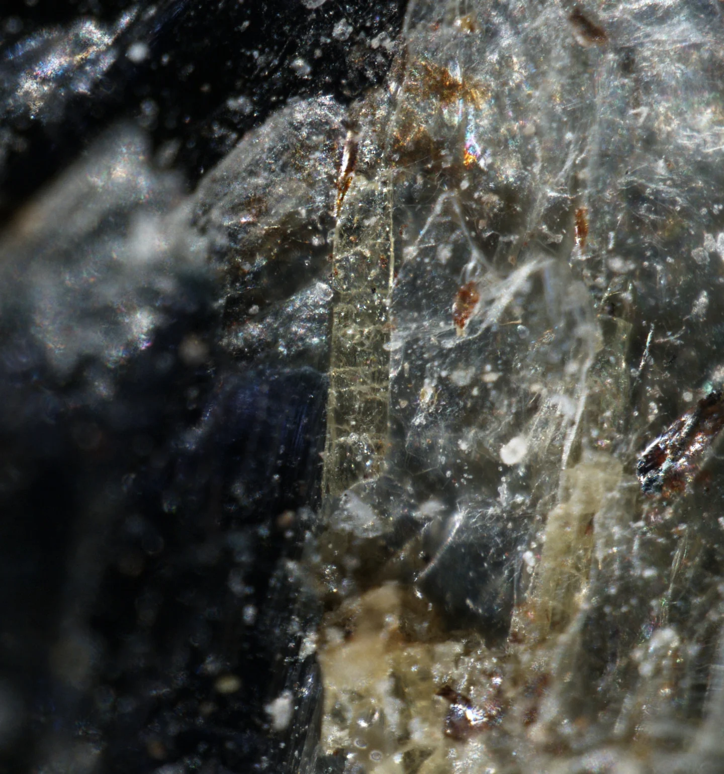Epidote in blueschist