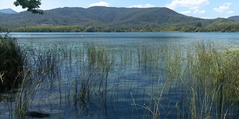 Aquatic vegetation in Lake Banyoles