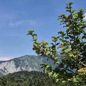 On the way between Trei Brazi and Poiana Secuilor, two hamlets in the Bucegi mountains