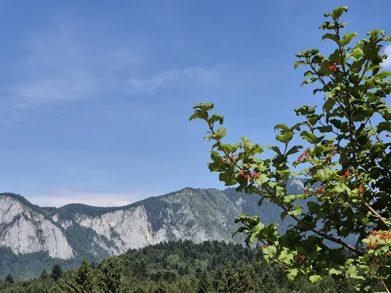 On the way between Trei Brazi and Poiana Secuilor, two hamlets in the Bucegi mountains