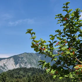 On the way between Trei Brazi and Poiana Secuilor, two hamlets in the Bucegi mountains