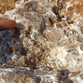 Siliceous Stone with Small Lines-shaped Slices of Calcite/Gypsum Deposits